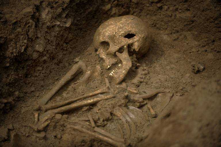 Древние люди гиганты: скелеты находят по всему миру