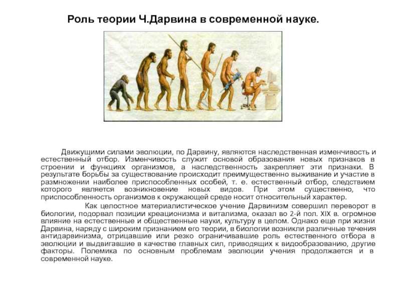 Различия и сходства животного и человека: сравнение строения и поведения :: syl.ru