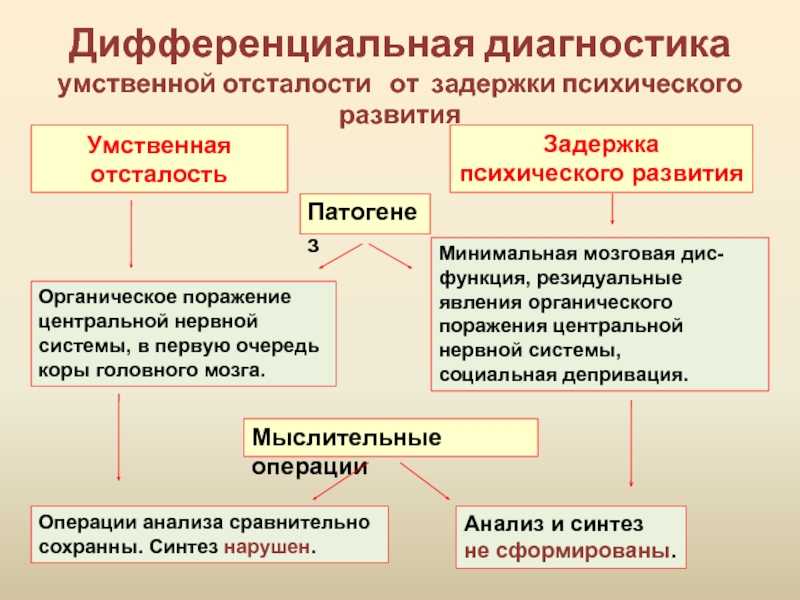 Ученые «очеловечили» мышей, пытаясь понять истоки человеческой речи - vechnayamolodost.ru