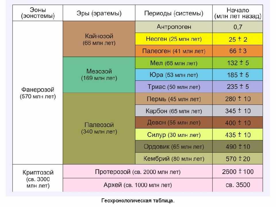 Геохронологическая шкала: эпохи, периоды, эры, эоны | таблица