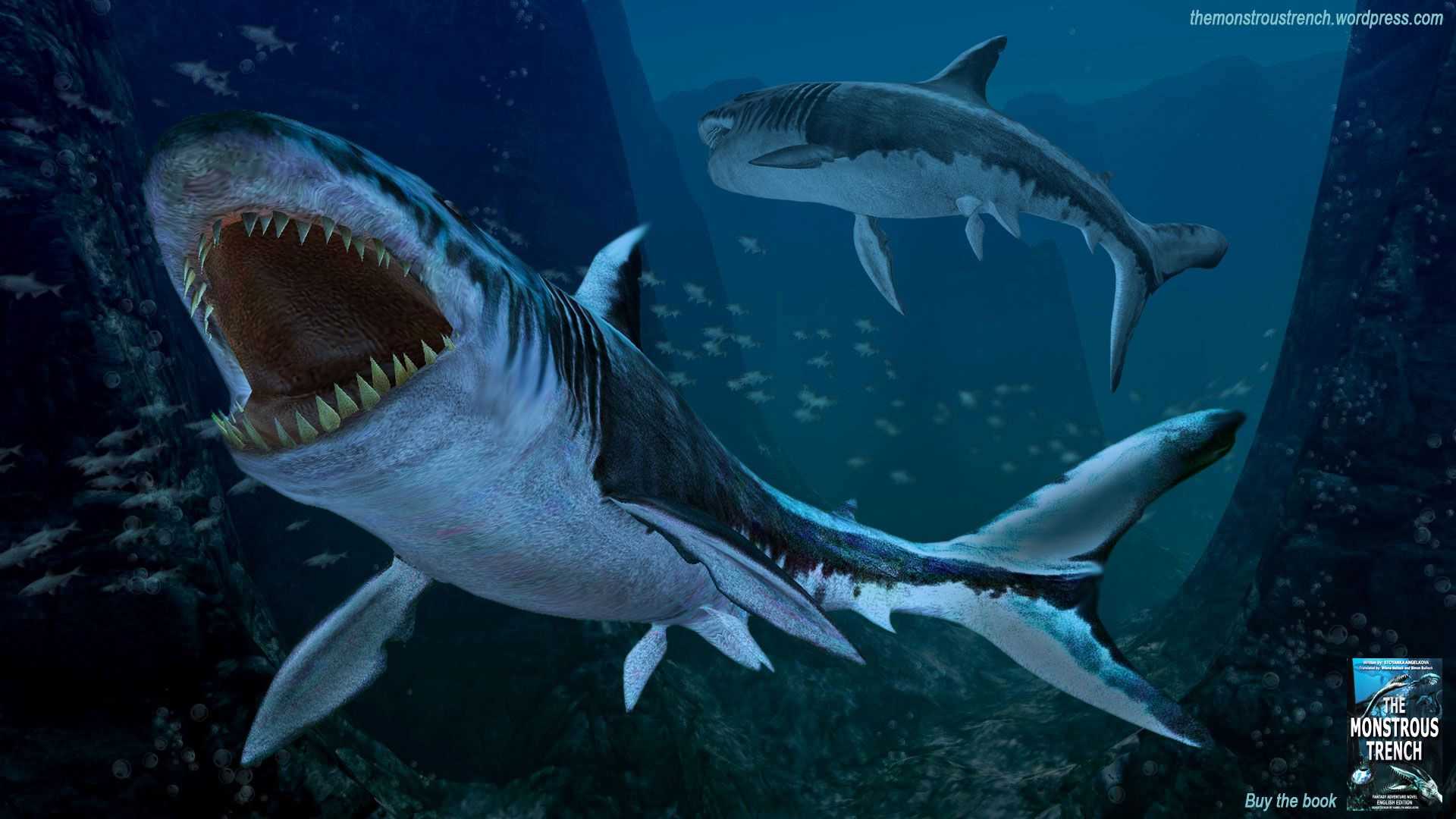 Мегалодон: факты о давно вымершей гигантской акуле