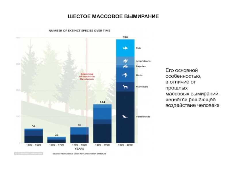 Исчезновение людей причины. Массовое вымирание видов. Шестая волна массового вымирания. Шестое глобальное вымирание.