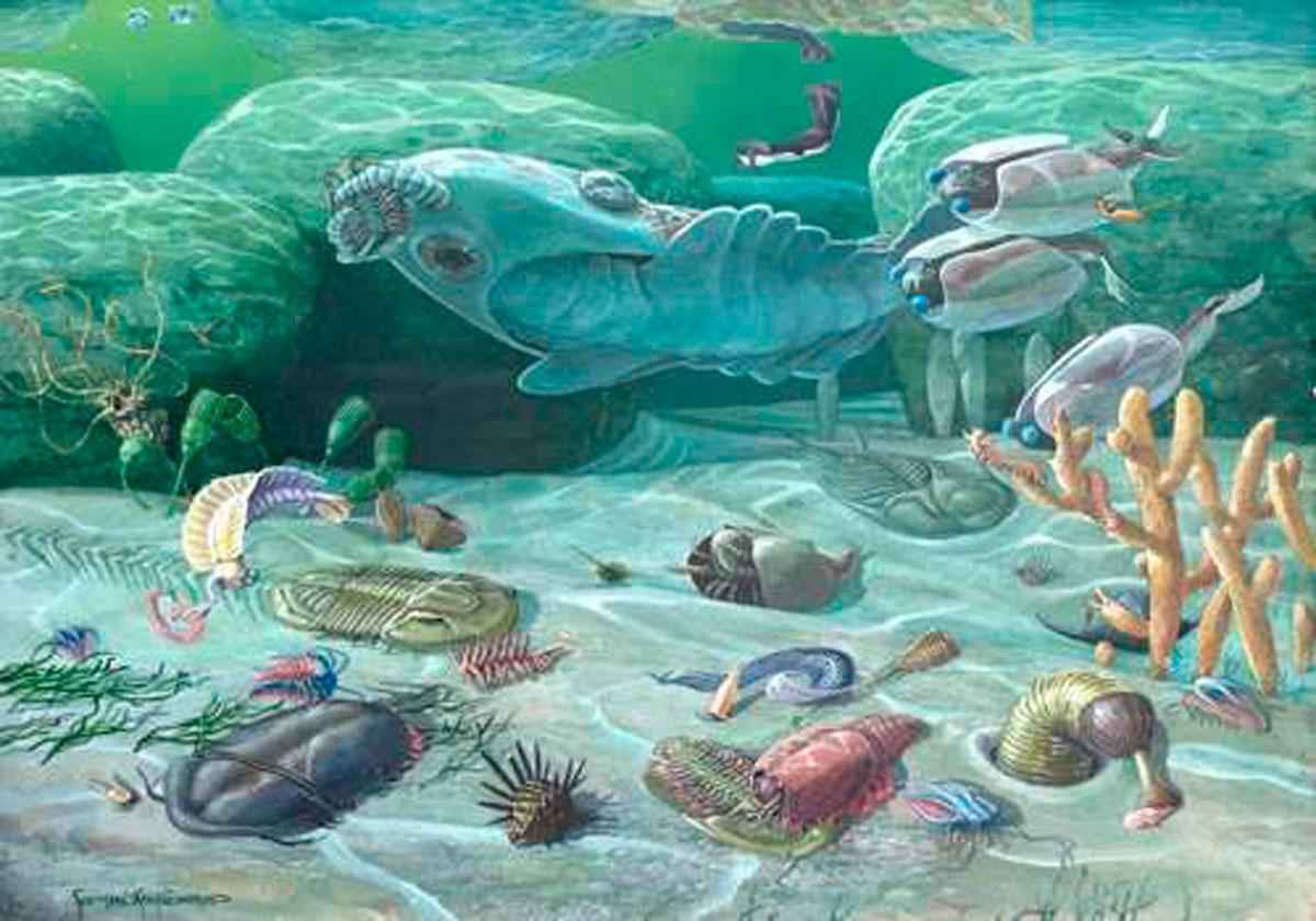 Палеозойская эра (палеозой) от 541 до 252,17 млн. лет назад