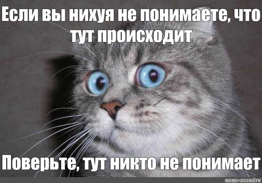 Андрей котов: «я очень страстно ищу людей, которые поняли то, чего не понял я»