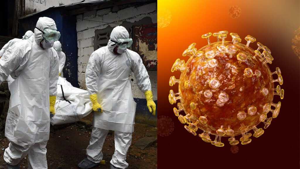 Вирусы-мутанты и теория заговора. чем отличается пандемия в разных странах?
