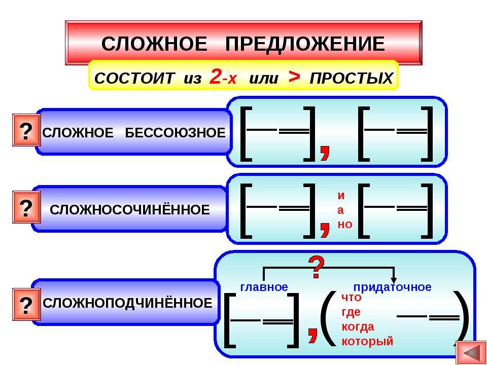 Сложное предложение в русском языке — виды, типы, примеры