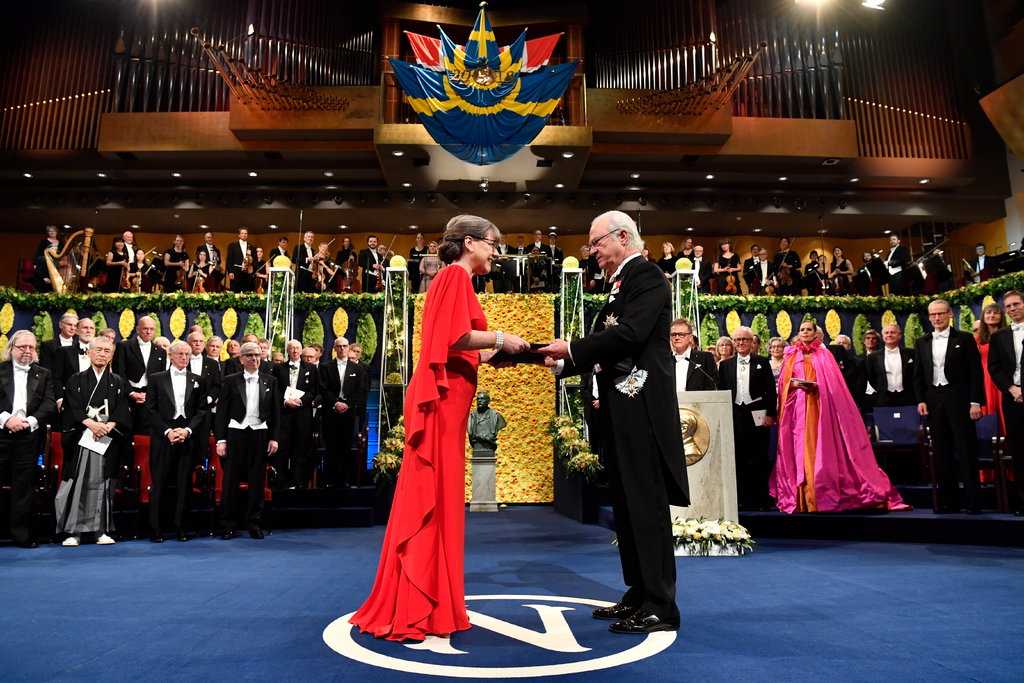 Кому достались нобелевские премии в 2010 году