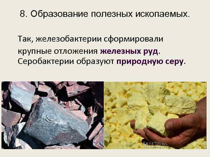 Каменный уголь: образование в недрах земли. источники и процесс образования каменного угля :: syl.ru