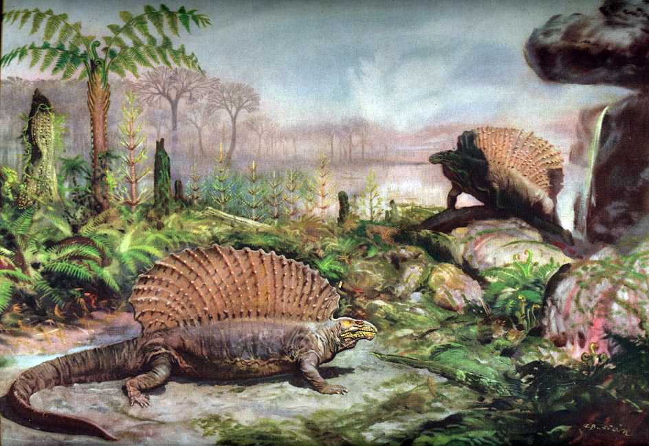 326 миллионов лет назад на земле жили многоножки размером с автомобиль - hi-news.ru