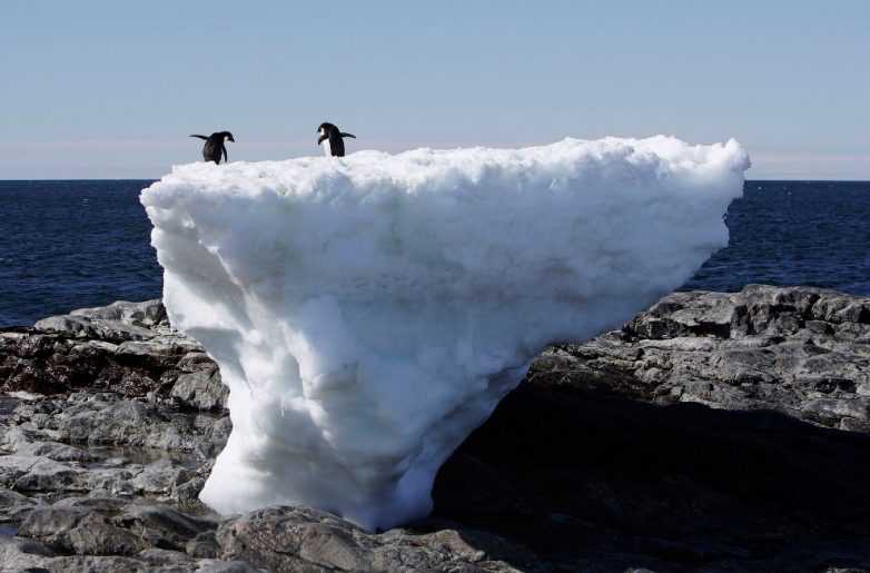 Масштабное таяние льдов антарктиды показали на видео
