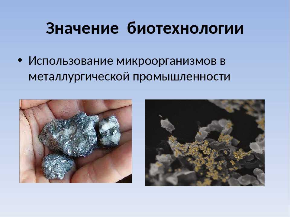 Как образовался каменный уголь? план сообщения биология 5 класс