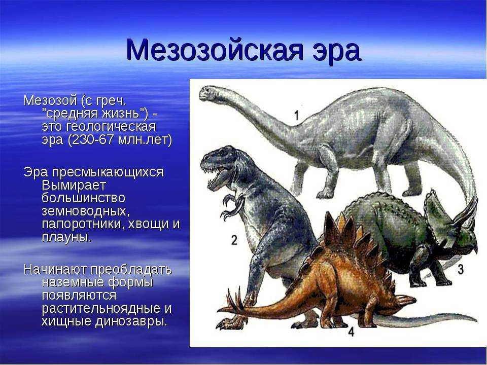 Мезозойская эра появление. Триасовый Юрский и меловой периоды. Юрский период мезозойской эры таблица. Динозавры Триасового периода. Мезозойская Эра периоды динозавры.