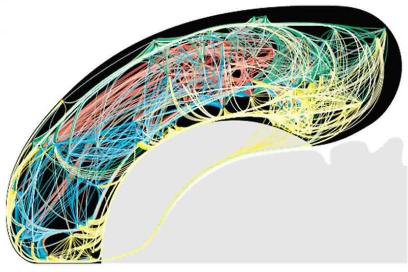 Коннектомы и когнитом: гиперсетевые модели мозга