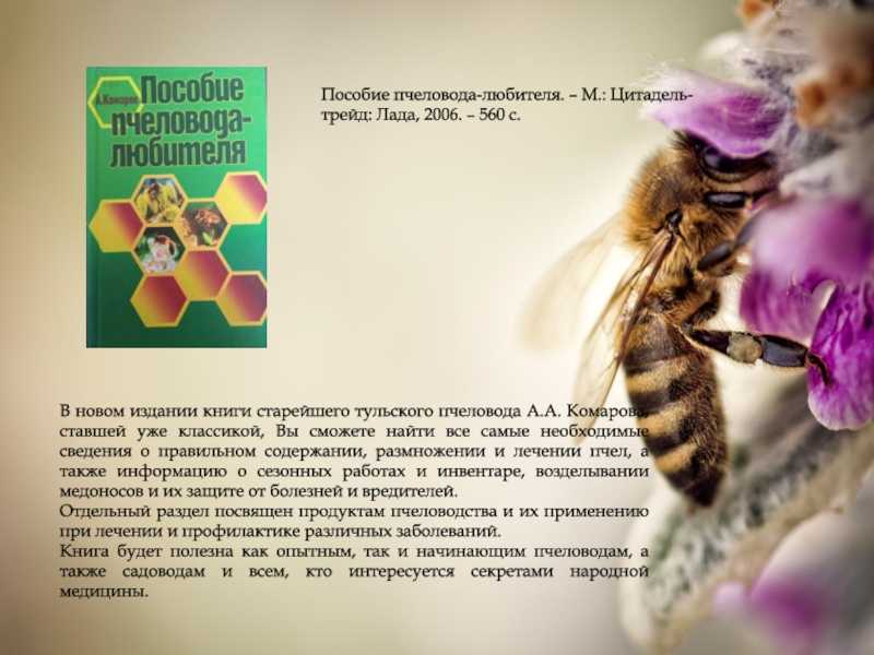 Ароматы в жизни пчёл — медовая биржа