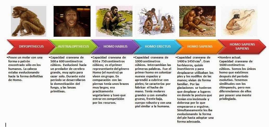 Путь к homo sapiens. от истоков до x тысячелетия до н.э. | портал дамира шамарданова