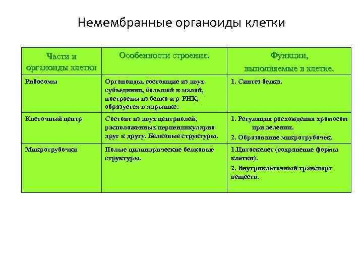 Характеристика рибосом, типы, структура, функции / биология | thpanorama - сделайте себя лучше уже сегодня!