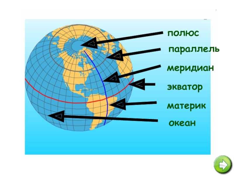 Как расположены параллели на карте. Земля с экватором меридианами параллелями. Экватор Меридиан параллель. Экватор это Меридиан или параллель. Что такое,меридианы, параллели, Экватор 2 класс.