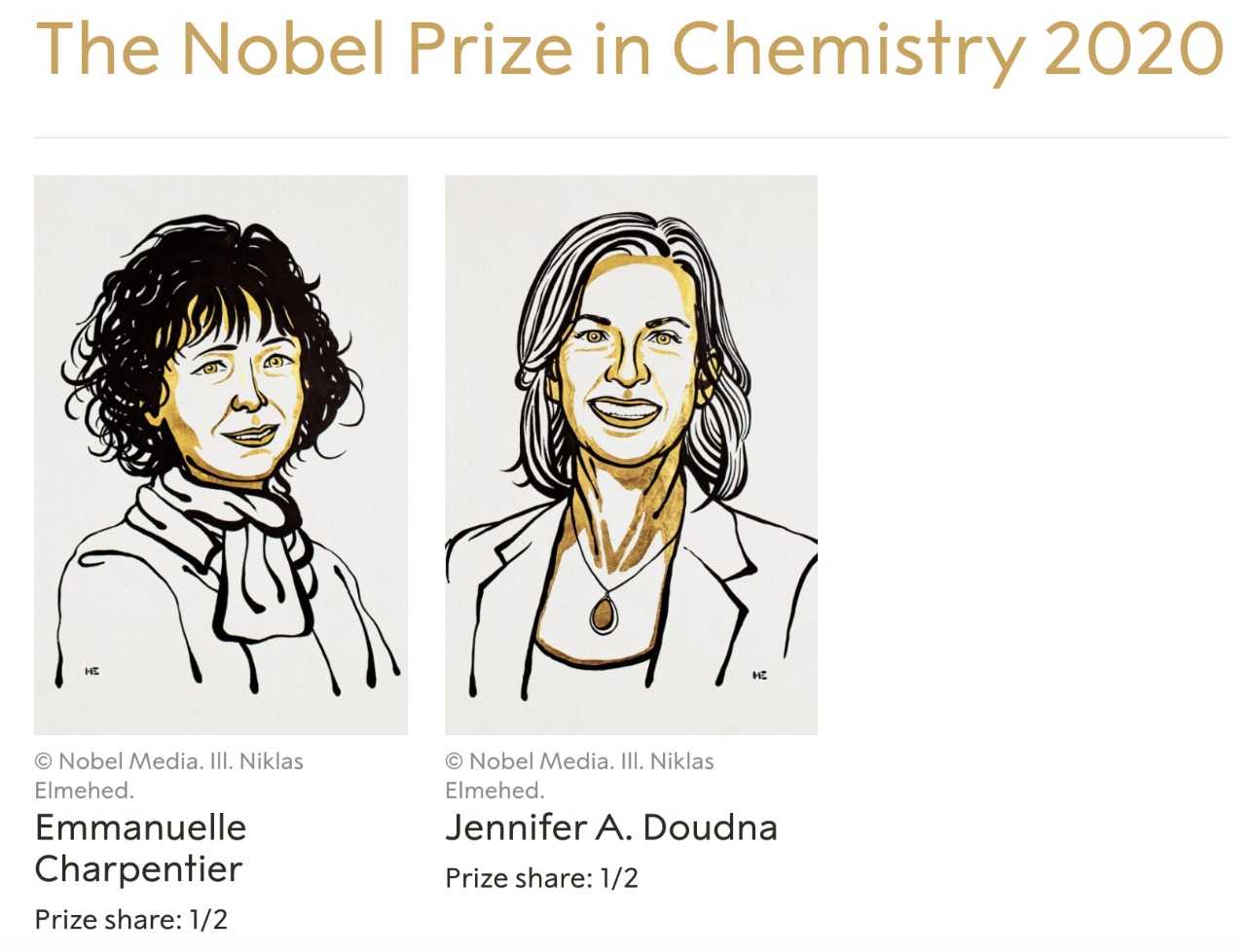 Нобелевская премия по химии 2007 года
