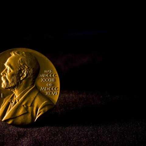 Вручена нобелевская премия по физиологии и медицине-2016