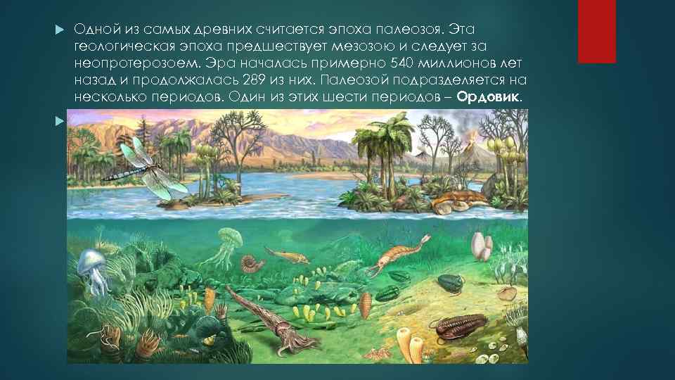 Появление хордовых. эволюция рыб и выход животных на сушу