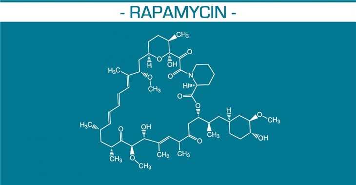 Рапамицин против старения: антивозрастные свойства препарата