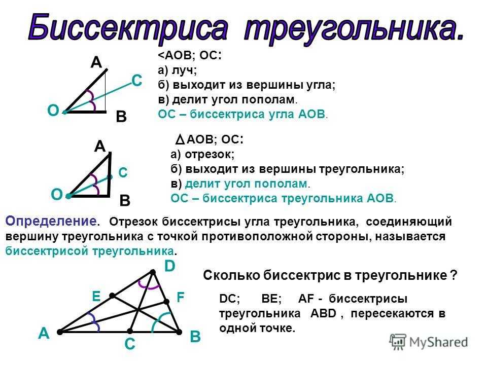 Все о треугольниках