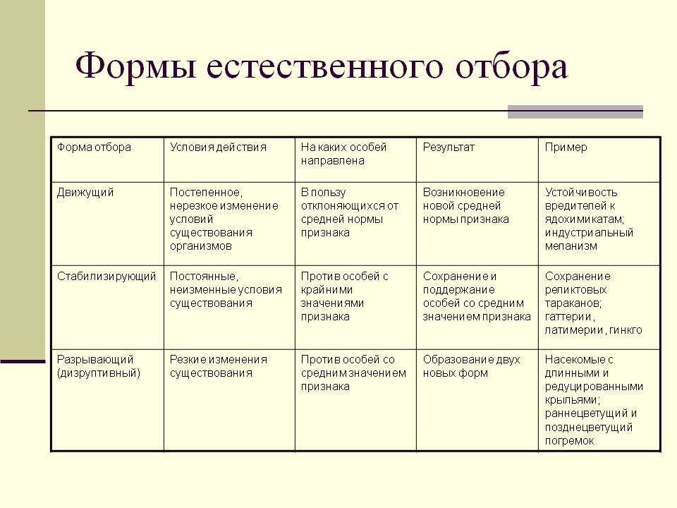 Естественный отбор в интерфейсах и тренды - Пётр Лутов. Заметки о дизайне интерф