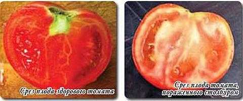 Почему не вызревают помидоры