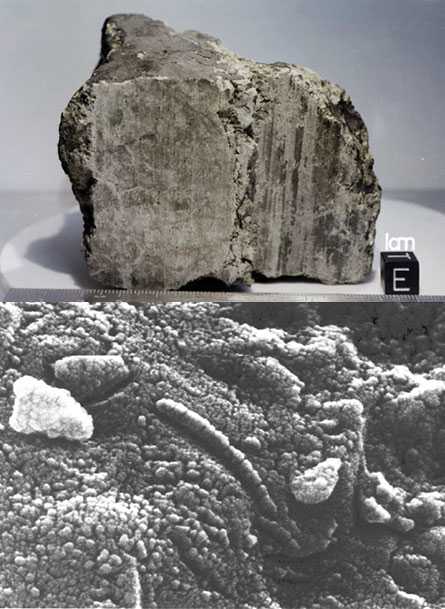 Были ли найдены следы жизни в марсианском метеорите alh 84001 | звездный каталог