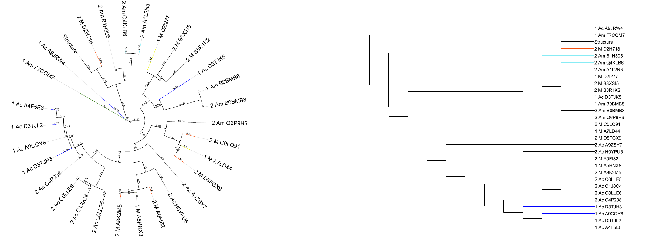 Филогенетическое дерево: виды и их характеристика, примеры - наука - 2022