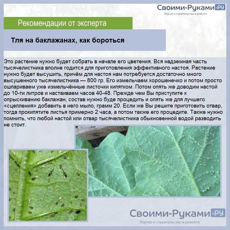 Почвы тайги в россии и евразии кратко