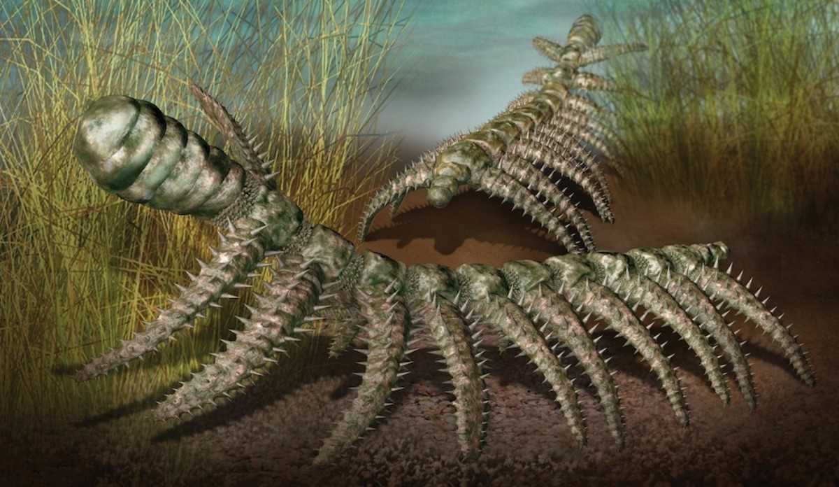 Гигантская многоножка и еще 7 кошмарных монстров, вымерших миллионы лет назад