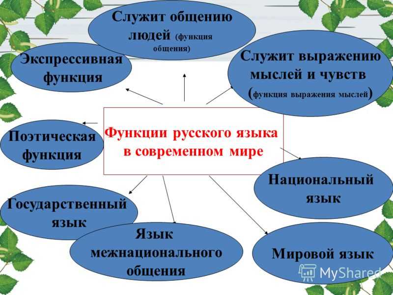 Доклад на тему «русский язык в современном обществе»
