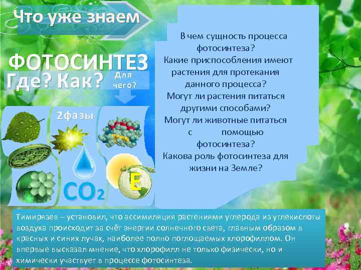 Фотосинтез: значение в природе, для биосферы планеты и в жизни человека, краткая история открытия