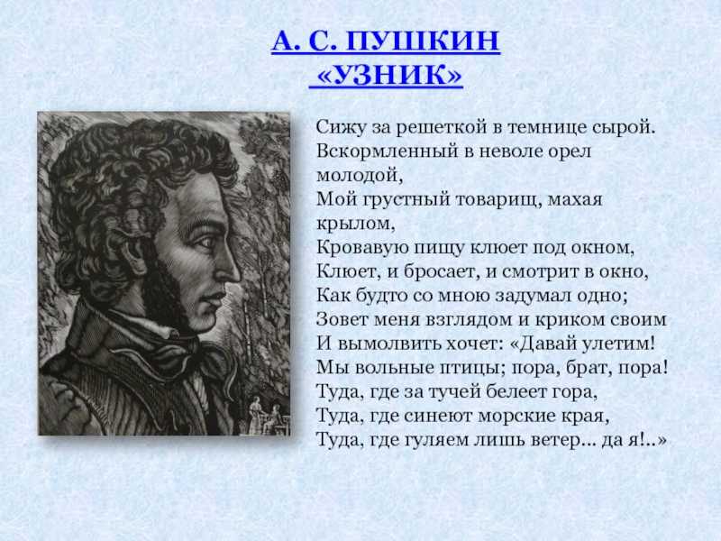 Анализ стихотворения «узник» (а.с. пушкин) | литрекон