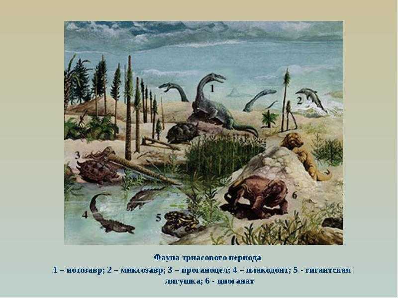 Триасовый период, или триас (252-201 млн лет назад)