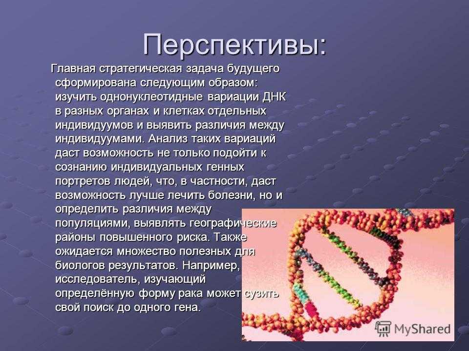 Расшифрованные геномы. Проект геном человека. Программа геном человека. Презентация на тему геном человека. Геном человека цели и задачи.