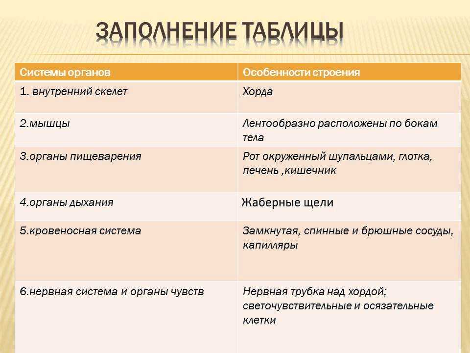 Урок 11: тип хордовые - 100urokov.ru