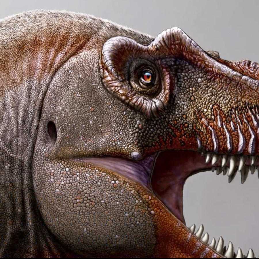 Самые свирепые морские динозавры