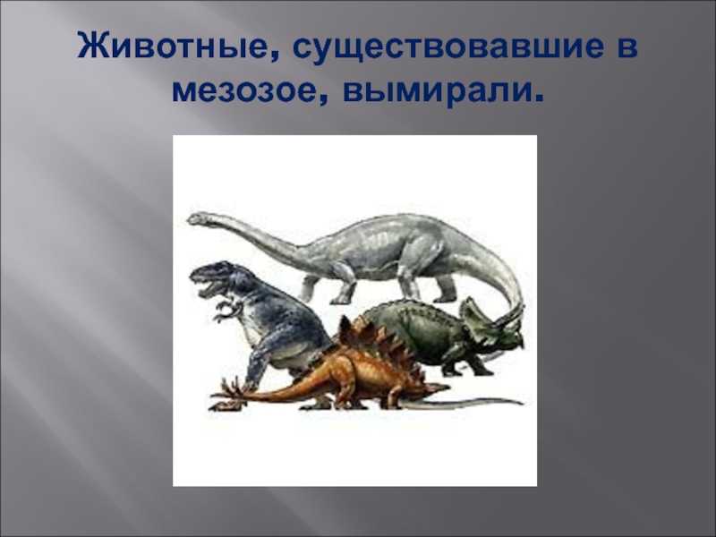Эпохи в истории земли: динозавры, эры и периоды