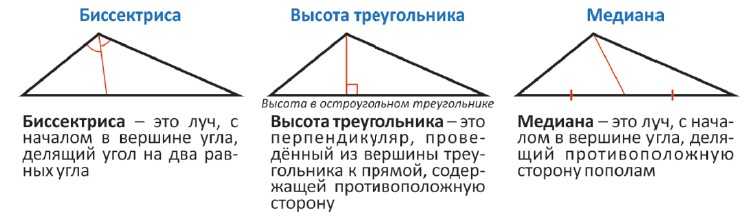 Треугольник — определение и основные свойства и виды треугольника