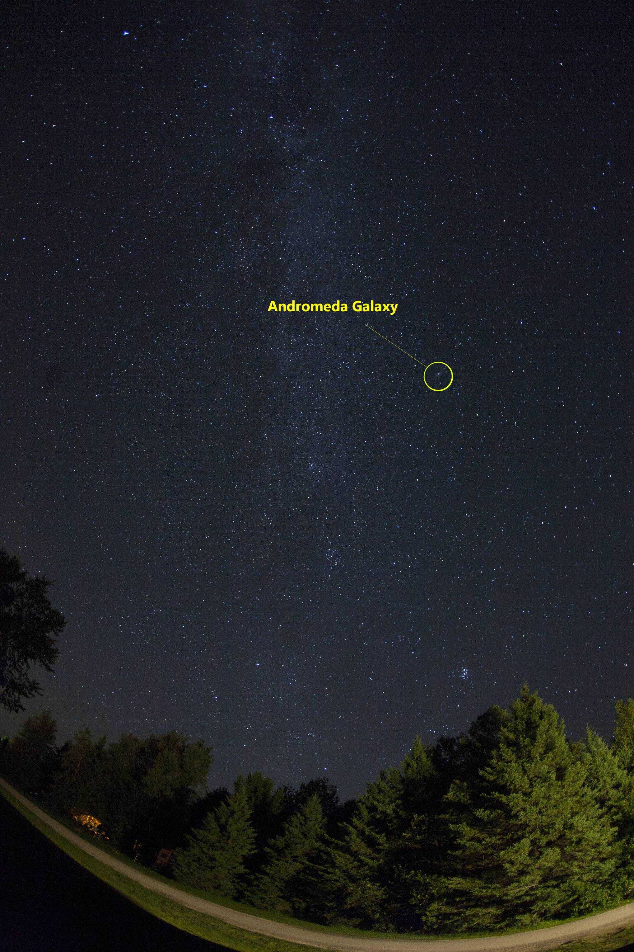 Туманность андромеды (спиральная галактика m31, мессье 31) | звездный каталог