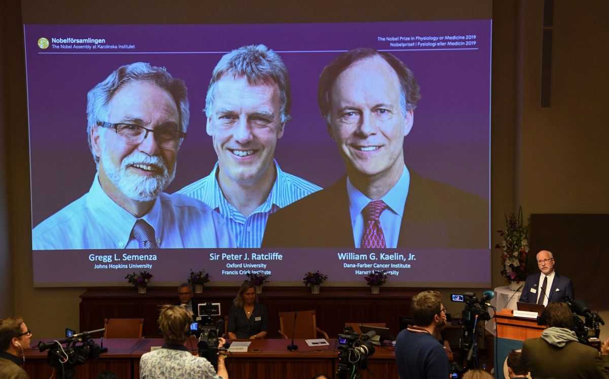 Нобелевскую премию по медицине 2017 года дали за изучение «биологических часов»