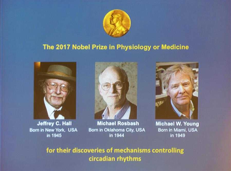 Нобелевскую премию по медицине 2017 года дали за изучение «биологических часов»