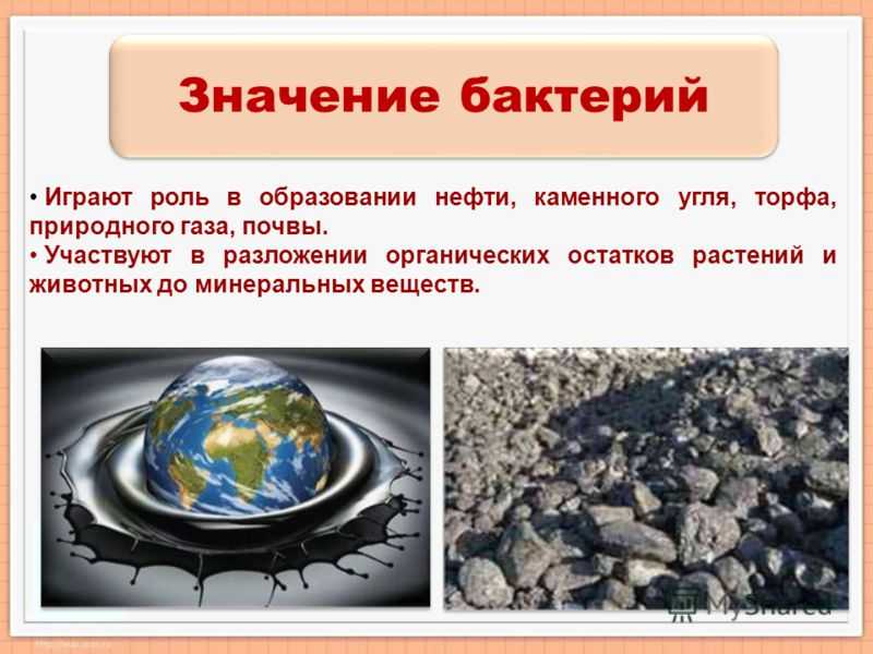 Каменный уголь ️ состав, химические и физические свойства, виды и классификация