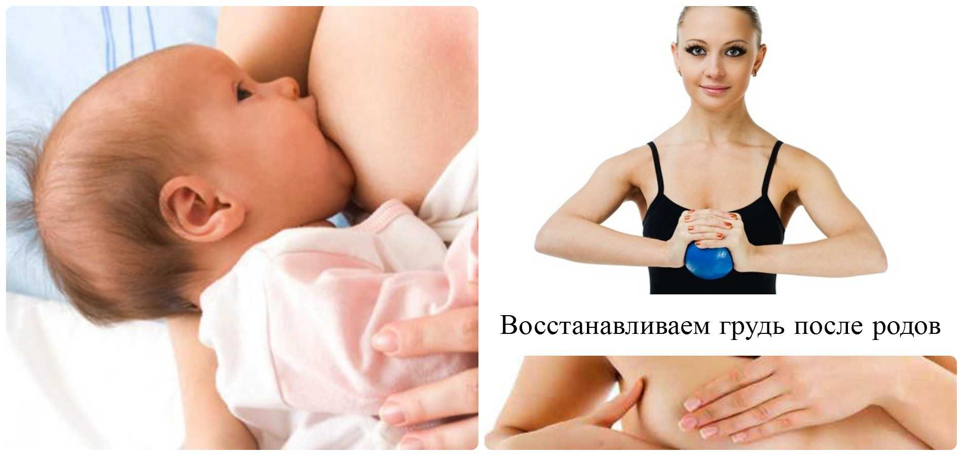 сохранить грудь во время беременности фото 3