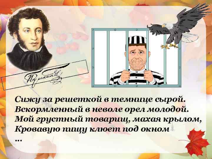 История создания и анализ стихотворения пушкина «узник»: теории о написании, смысл и проблематика