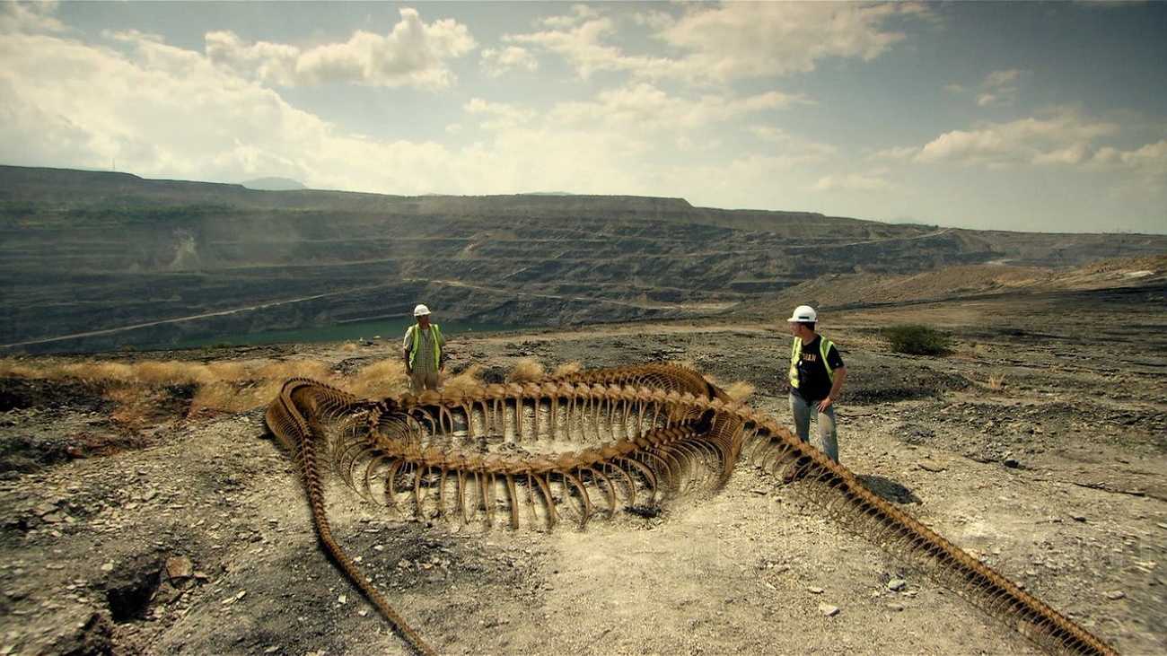 Доисторическая мегафауна: последние гиганты на земле