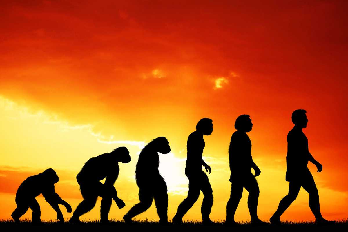 Антропогенез 10-100 тысяч лет назад: появление современных рас