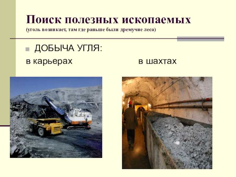 Где добывают полезные ископаемые в татарстане?